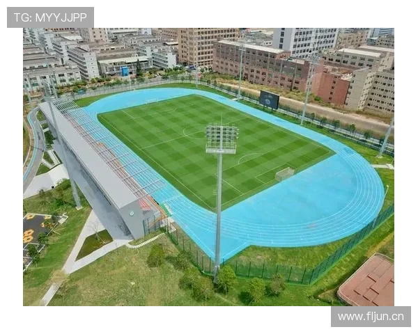 足球球场导览：设施布局与观赛体验全面解析