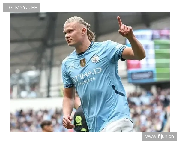 哈兰德个人纪录收割