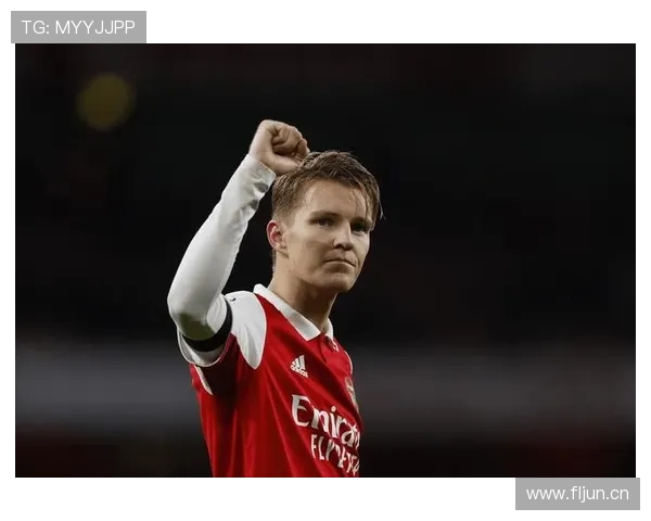 厄德高是否只适合体系化战术